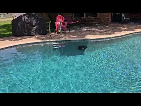 cordless inground pool vacuum: Clybot Inground Pool Vacuum Cleaner shown during my hands-on review