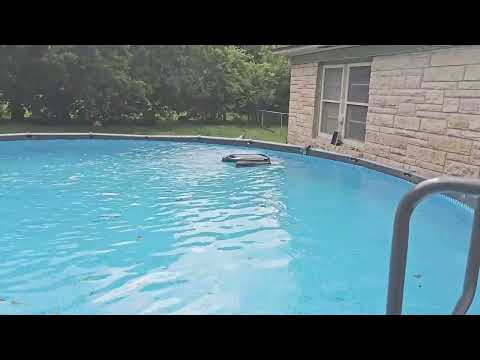 floating pool skimmer for leaves: (2024 Upgrade) AIPER Surfer S1 Solar Powered Robotic Pool Skimmer with APP Support, Monitor Pool Temperature, 12 Hour Ba…