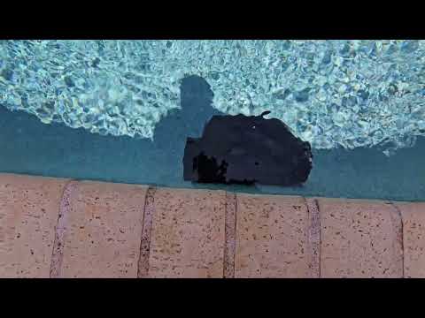 robotic pool wall cleaner: CliBot cordless robotic pool vacuum cleaner shown during my hands-on review